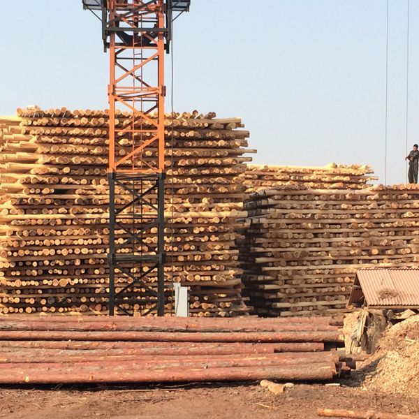 1558300287536248.jpg thumb_1465191806114443.jpg